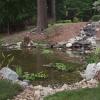 After: Buckingham Mountain Pond